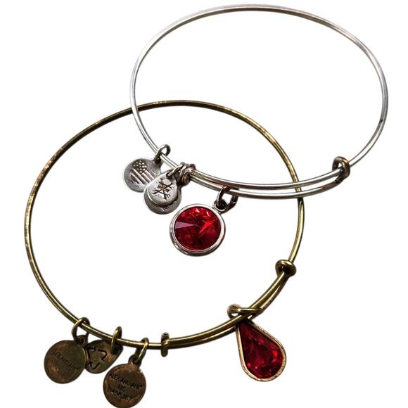 SET OF 2 ALEX and ANI RED BANGLE BRACELET RUBY GARNET JULY JANUARY BIRTHSTONE - Picture 1 of 5